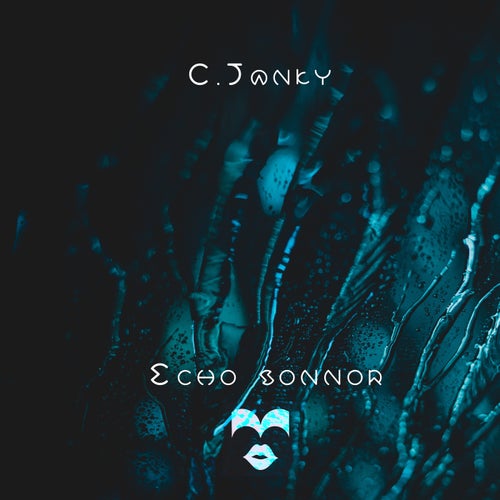 C.Janky - Echo sonnor [FLY15]